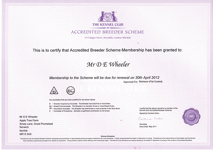 Kennel Club Accredited Breeder Certificate