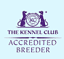 Kennel Club Accredited Breeder
